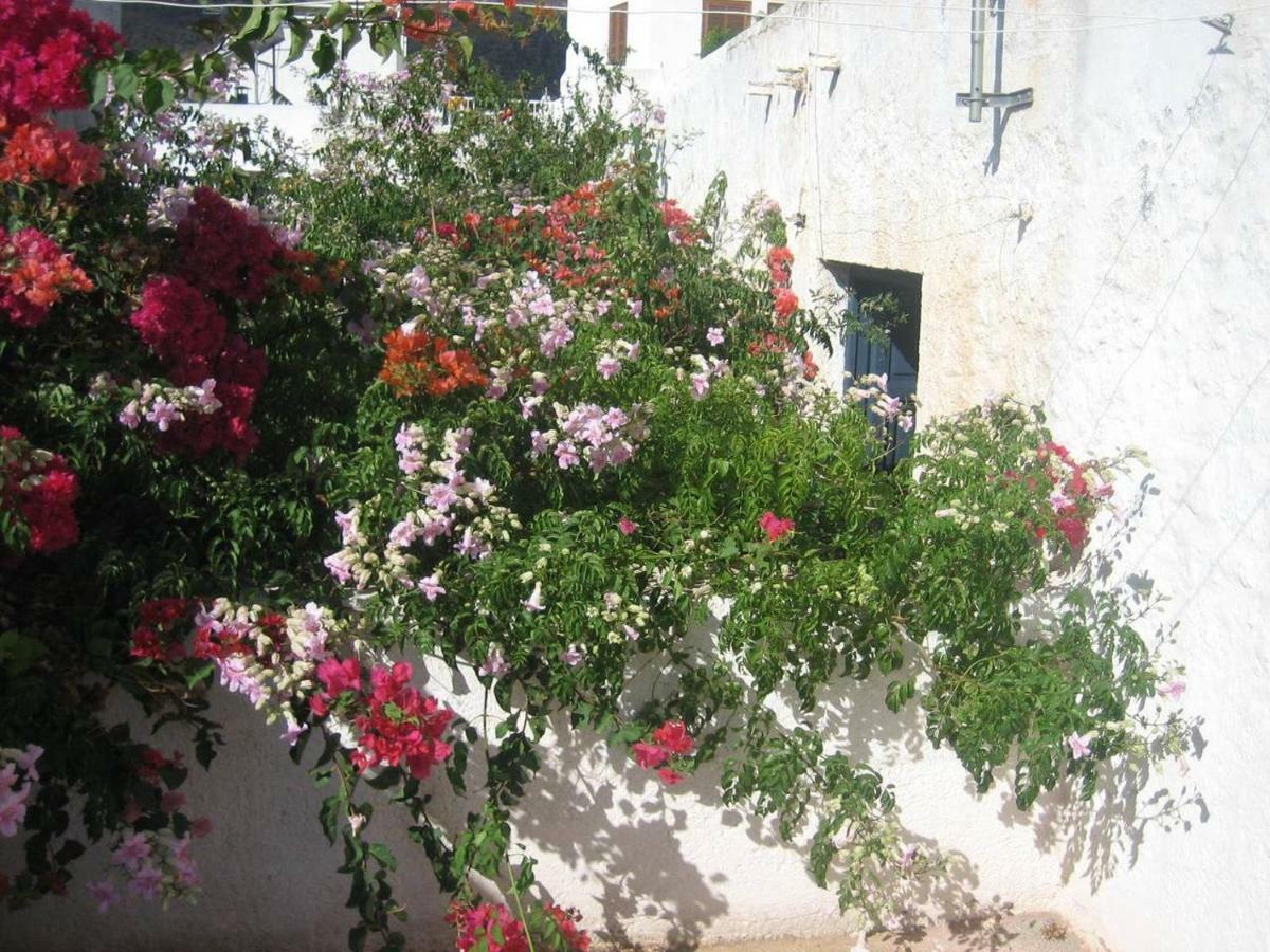 Casa De La Buganvilla Rodalquilar Eksteriør bilde